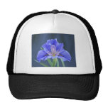 Purple Iris flower Mesh Hats