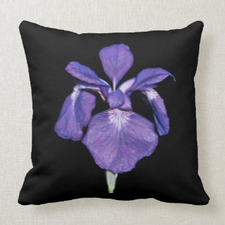 Purple Iris Flower on Black Cotton Throw Pillow