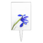 Purple Iris Flower Rectangle Cake Picks