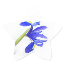 Purple Iris Flower Star Sticker