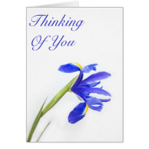 Purple Iris Flower Thinking of  You Card