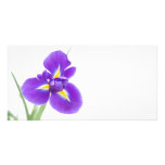 purple iris flowers, space for text photo cards