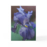 Purple Iris Greeting card
