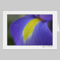 Purple Iris cards