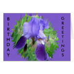Purple Iris Greeting Card