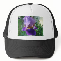 Purple Iris hats by litehrse Purple Iris hats