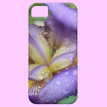 Purple Iris (Iris Germanica) iPhone 5 Covers