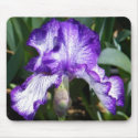 Purple Iris Mousepad
