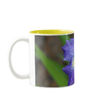 Purple Iris mugs