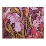 Purple Iris Post Card