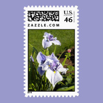 Purple Iris Postage stamps