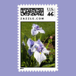 Purple Iris Postage postage