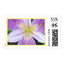 Purple Iris postage