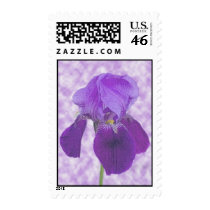 Purple Iris Postage Stamp by sruhs Purple Iris Postage Stamp