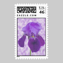 Purple Iris Postage Stamp stamps