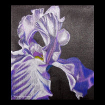 Purple Iris Poster posters