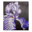 Purple Iris Poster posters by CrookedRiverArt Purple Iris Poster posters