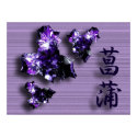 Purple Iris posters