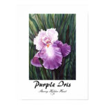 Purple Iris Print - Customized Purple Iris Print - Customized
