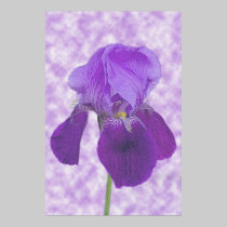 Purple Iris Print posters