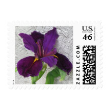 Purple Iris Stamp