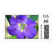 Purple iris stamp by dollargrafix Purple iris stamp
