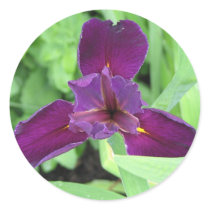 Purple Iris stickers by princessklb07 Purple Iris stickers
