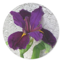 Purple Iris stickers by princessklb07 Purple Iris stickers