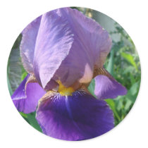 Purple Iris stickers by litehrse Purple Iris stickers