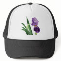 Purple Iris Stripes hat