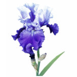 purple iris t-shirts