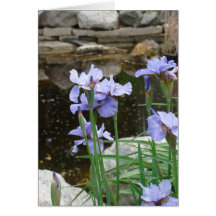 Purple Irises Card