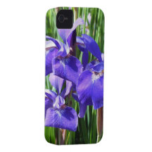 Purple Irises iPhone4 case iPhone 4 Cover