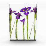 Purple Irises - Iris Flower Customized Template Awards