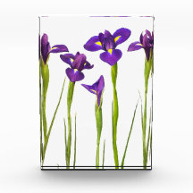 Purple Irises - Iris Flower Customized Template Awards