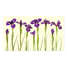 Purple Irises - Iris Flower Customized Template Business Card Template