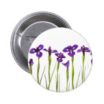 Purple Irises - Iris Flower Customized Template Pinback Buttons