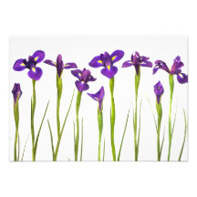 Purple Irises - Iris Flower Customized Template Custom Invitations