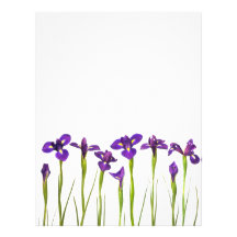 Purple Irises - Iris Flower Customized Template Personalized Letterhead