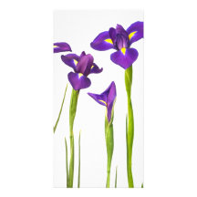 Purple Irises - Iris Flower Customized Template Photo Greeting Card