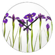 Purple irises isolated on a white background wall clock