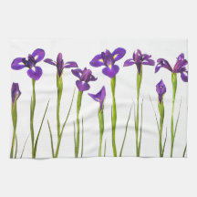 Purple irises isolated on a white background hand towels