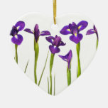 Purple irises isolated on a white background ornaments