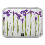 Purple irises isolated on a white background folio planners