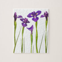 Purple irises isolated on a white background puzzle