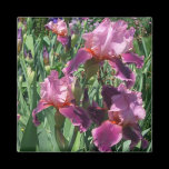Purple Irises Magnet