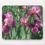 Purple Irises Mousepad