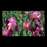 Purple Irises Print