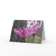 Purple Japanese Magnolia card