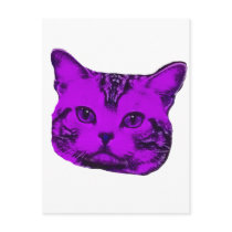 Purple Kitty postcards